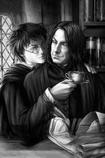 Bảo Hộ Harry Potter Đồng Nhân