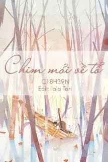 Chim Mỏi Về Tổ