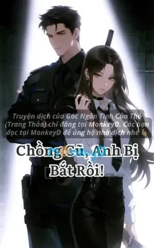 Chồng Cũ, Anh Bị Bắt Rồi!