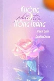 Không Phải Đóa Hồng Trắng