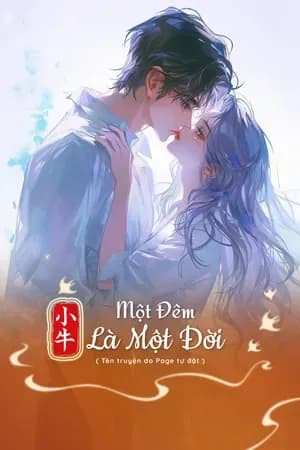 Một Đêm Là Một Đời