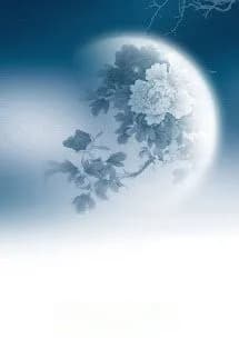 My MoonLight