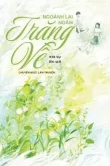 Ngoảnh Lại Ngắm Trăng Về