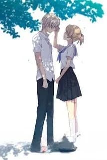 Tình Yêu Không Lời Hồi Đáp