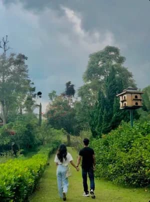 Trả Lại Tự Do Cho Anh