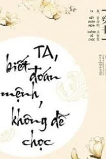 Ta, Biết Đoán Mệnh, Không Dễ Chọc